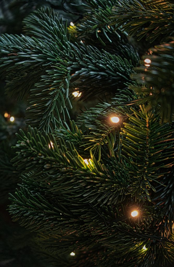 5mm Wide Angle Christmas Lights on Christmas Tree