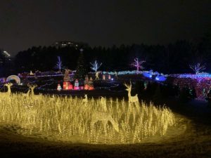 Christmas lights budget increased in Dennison, Texas