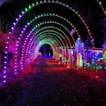 Rainbow Tunnel Setup in New Jersey Christmas Lights