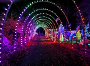 Rainbow Tunnel Setup in New Jersey Christmas Lights
